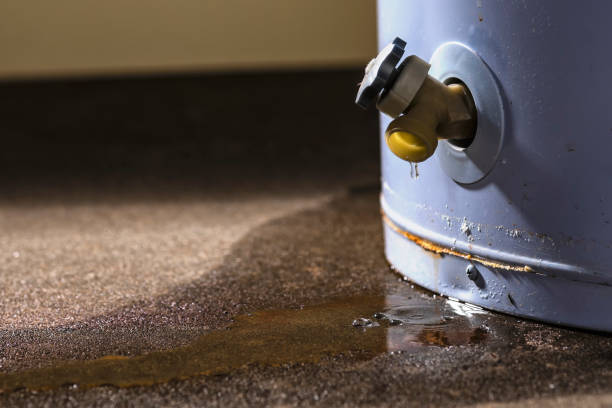 24/7 water damage repair in IN