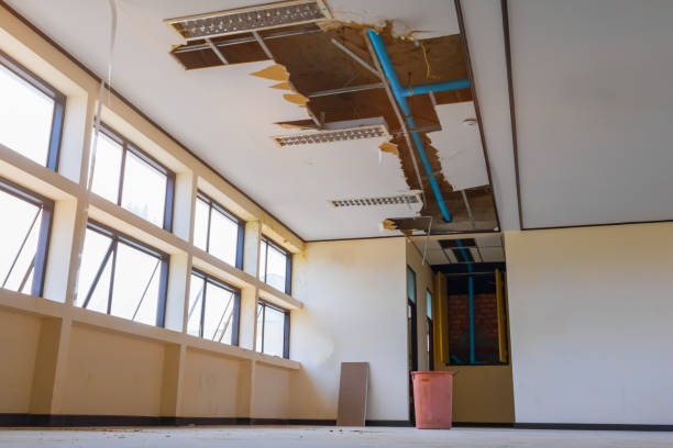 Best Water damage contractors near me  in Huntgton, IN