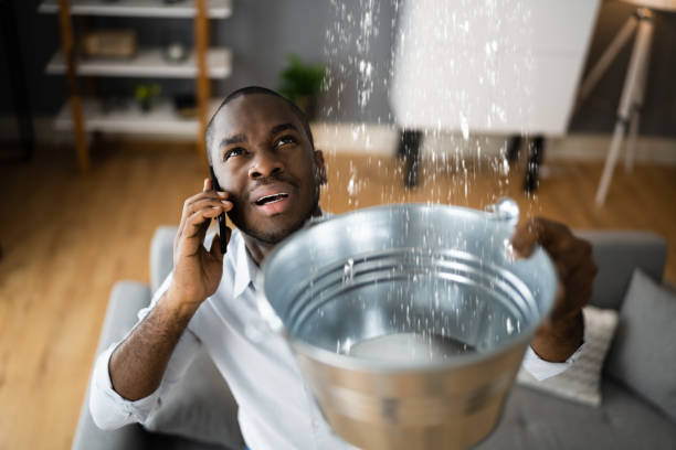 Best Water damage restoration process  in Huntgton, IN