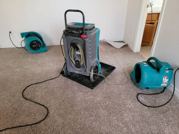 Water damage restoration process in IN