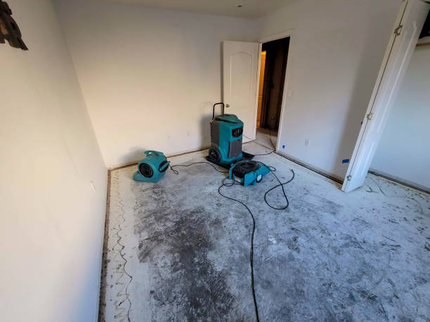 Best Basement water damage restoration  in Huntgton, IN