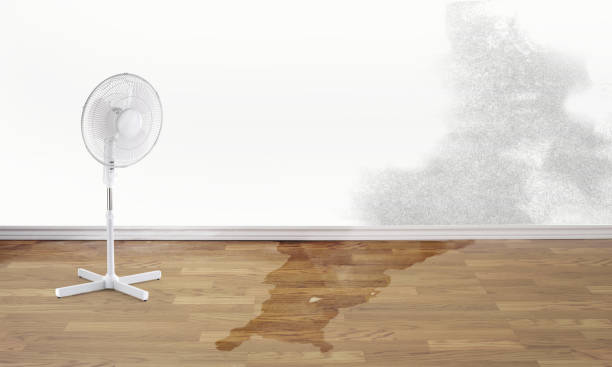 Best Water damage restoration specialists  in Huntgton, IN