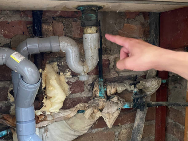 Best Basement water damage restoration  in Huntgton, IN