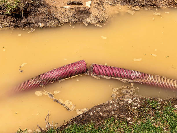 Best Local water damage restoration  in Huntgton, IN
